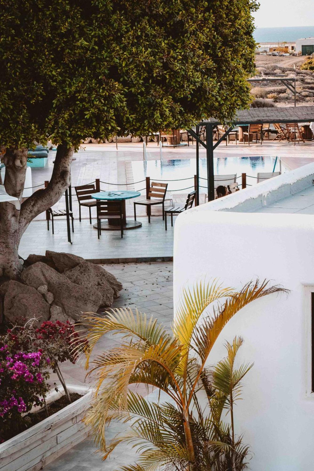 The Tree House Tenerife El Medano  Bagian luar foto
